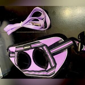 New Cat Harness and Leash Set (color: lilac) Rabbitgoo